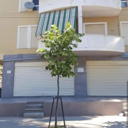 Daire Pine Golem (Tirana)