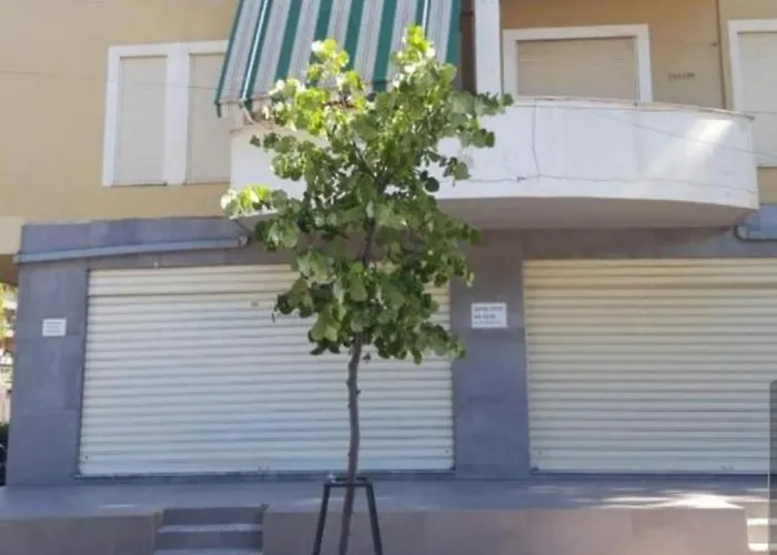 Daire Pine Golem (Tirana)